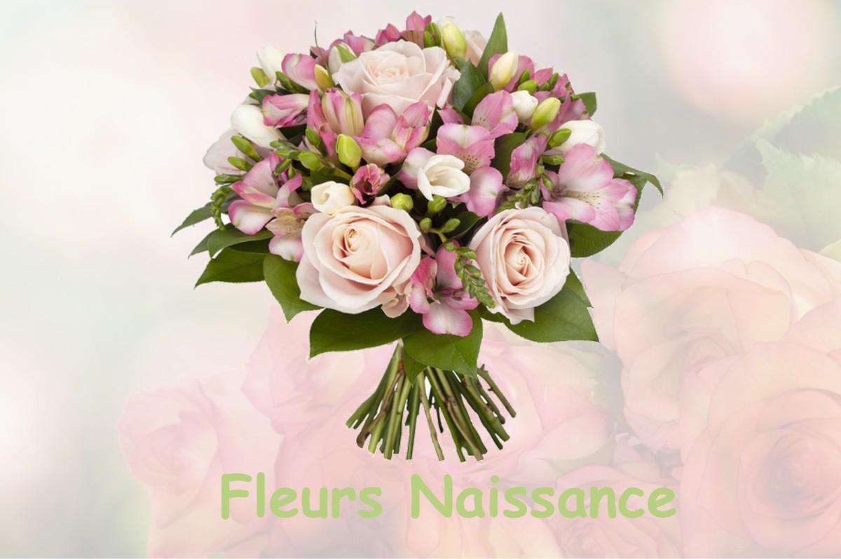 fleurs naissance SAINT-MAURICE-L-EXIL