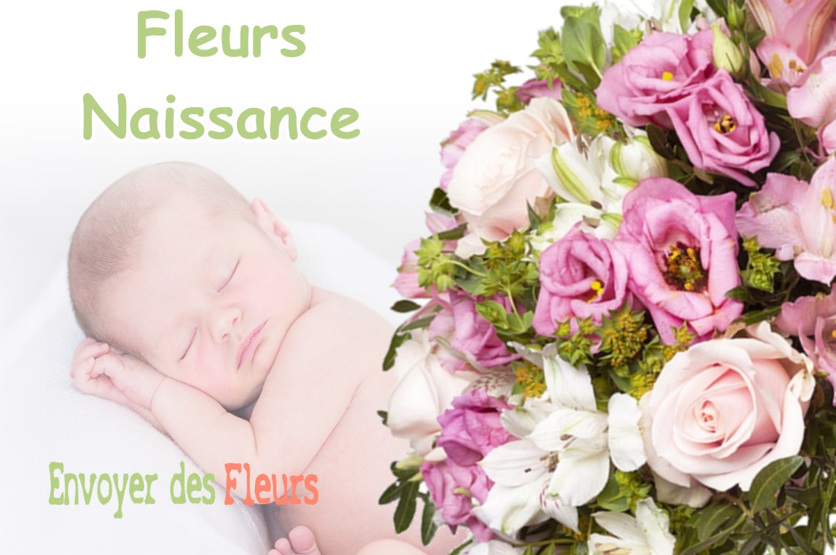 lIVRAISON FLEURS NAISSANCE à SAINT-MAURICE-L-EXIL